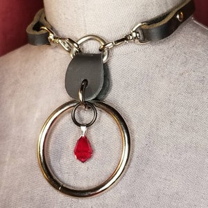 May include: A black leather choker with a silver chain and a large silver ring with a dangling red crystal.