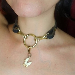 Guldfärgad prärievargtandberlock - Midnattsrubin halsbandsdekoration