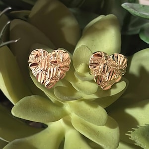May include: A pair of gold-colored heart-shaped stud earrings. The earrings have a textured surface with a pattern of small, irregular shapes. The earrings are displayed on a bed of green succulent leaves.