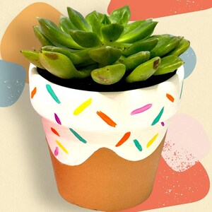 May include: A succulent plant in a white ceramic pot with colorful painted sprinkles. The pot is brown on the bottom and has a white rim.