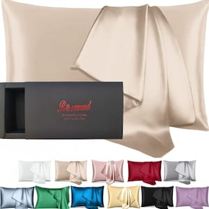 100% Pure 22 Momme Mulberry Silk Pillowcase for Hair and Skin Made in USA, Highest 6A Grade Real Silk Pillow Cases with Zipper, Acne Free Beige