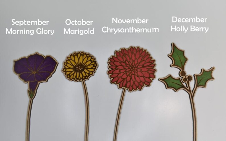 Może przedstawiać: Cztery drewniane wycięcia kwiat&oacute;w: September Morning Glory (fioletowy), October Marigold (ż&oacute;łty), November Chrysanthemum (czerwony) i December Holly Berry (zielony). Każdy kwiat ma cienką, drewnianą łodygę. Nazwy kwiat&oacute;w są napisane powyżej.