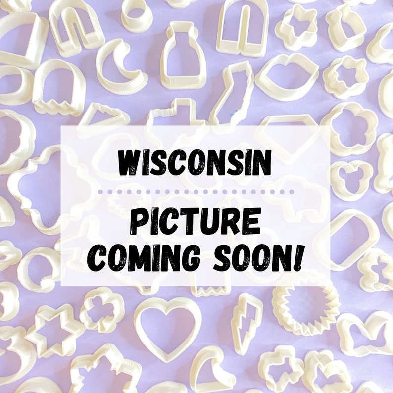 Pu&ograve; includere: Un assortimento di formine per biscotti in plastica bianca di varie forme, tra cui cuori, stelle e forme geometriche, sono sparsi su una superficie lilla chiaro. L'immagine include il testo "WISCONSIN PICTURE COMING SOON!"