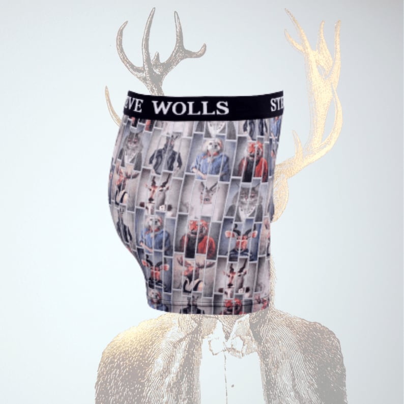 Gift For Men Boxer Gift For Boyfriend Organic Cotton Deer Ballpark Pouch Men/'s Underwear Trunks Wild Animals Designed Boxer Briefs