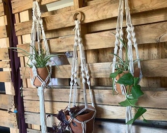 May include: Three macrame plant hangers with wooden rings hanging from a wooden pallet wall. Each hanger holds a terracotta pot with a green plant.