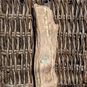 Driftwood Wall decor