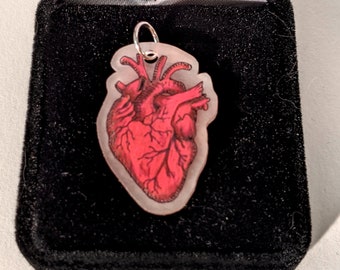 Anatomical Heart shrink art pendant