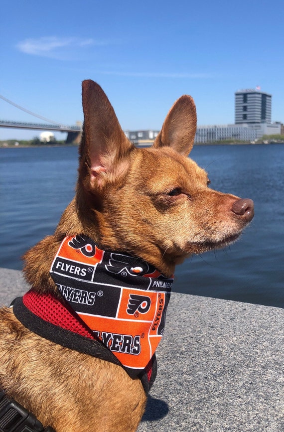 Dog 2024 sports bandanas
