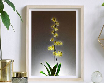 Fine Art Orchid Photograph Orchid Photo Macro Gift Idea Home Decor- Pop of Color White Flower Photo On the Wings of an Orchid