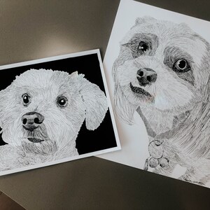 Custom Hand Drawn Pen and Ink Pet Portrait - Etsy