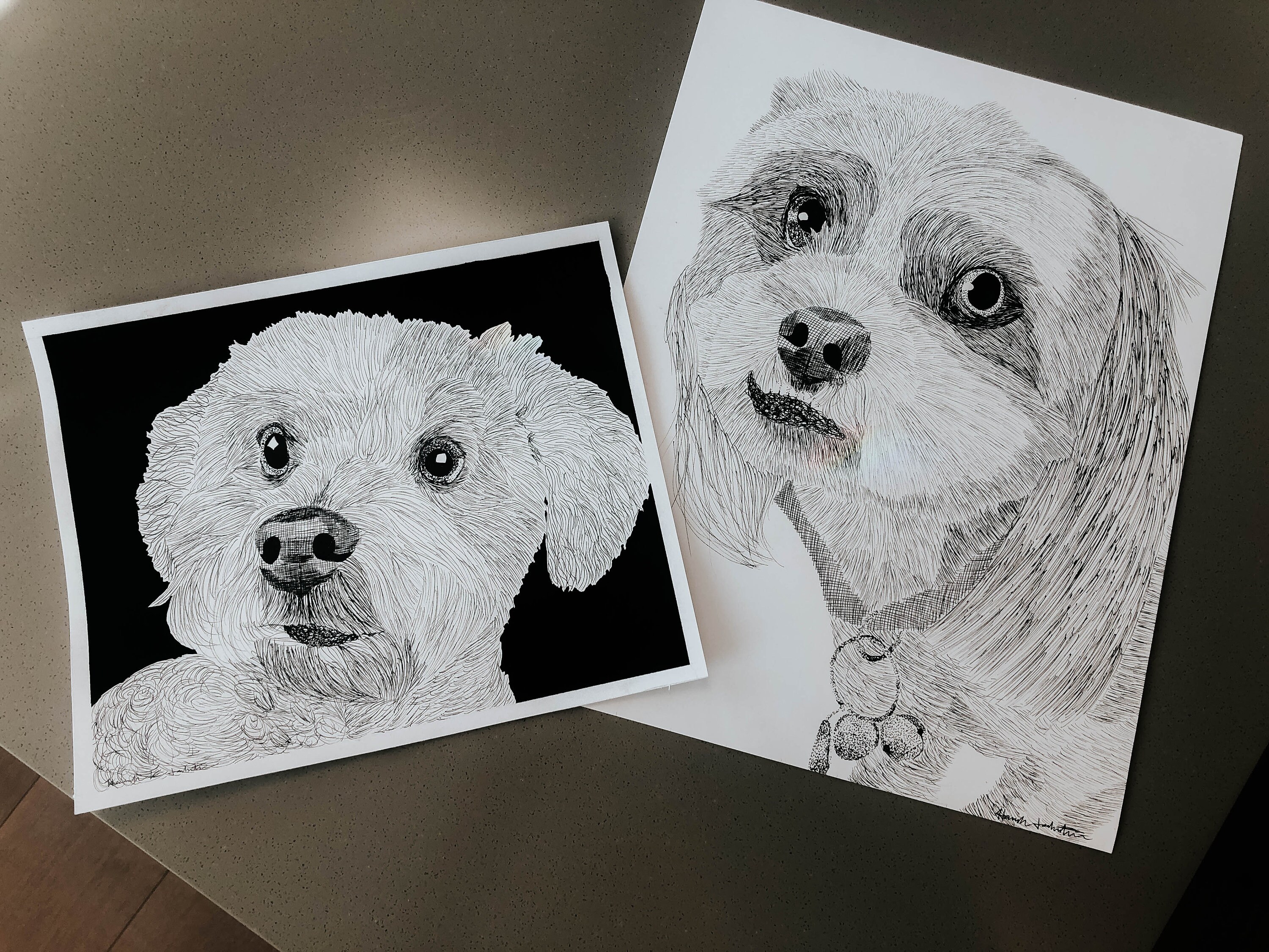 Custom Hand Drawn Pen and Ink Pet Portrait - Etsy