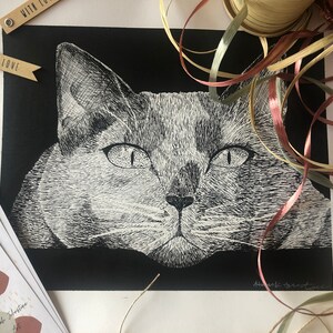 Custom Hand Drawn Pen and Ink Pet Portrait - Etsy