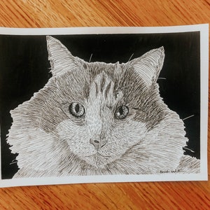 Custom Hand Drawn Pen and Ink Pet Portrait - Etsy