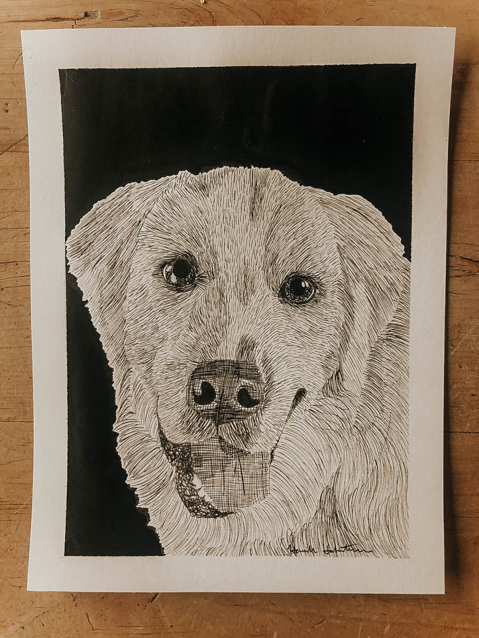 Custom Hand Drawn Pen and Ink Pet Portrait - Etsy