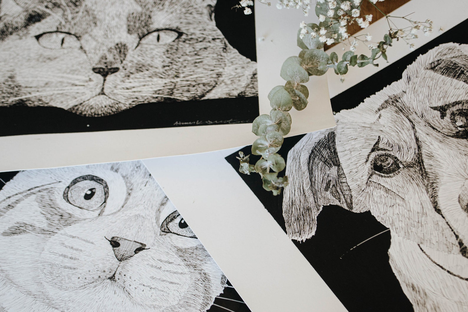 Custom Hand Drawn Pen and Ink Pet Portrait - Etsy