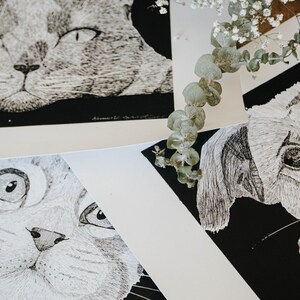Custom Hand Drawn Pen and Ink Pet Portrait - Etsy