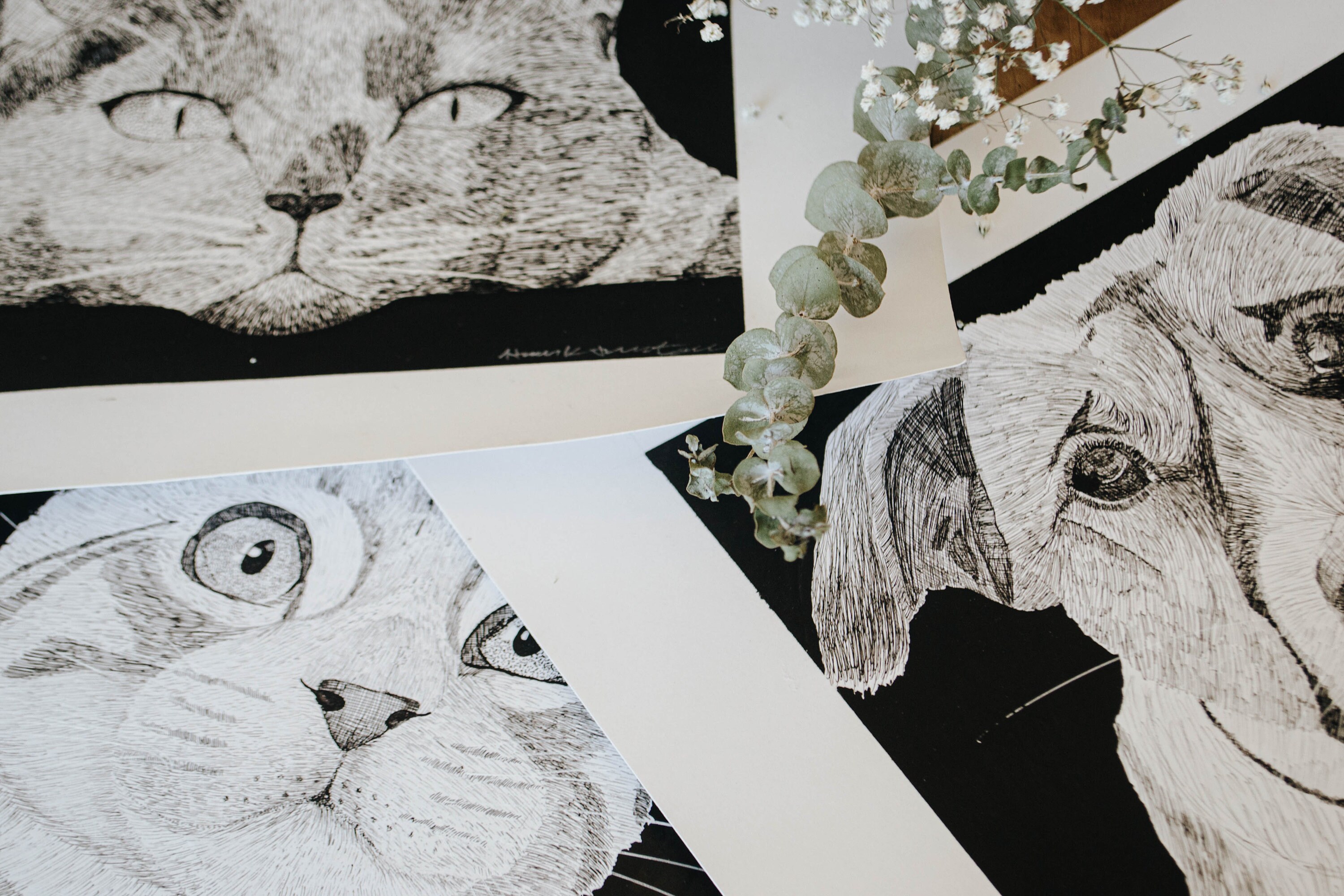 Custom Hand Drawn Pen and Ink Pet Portrait - Etsy