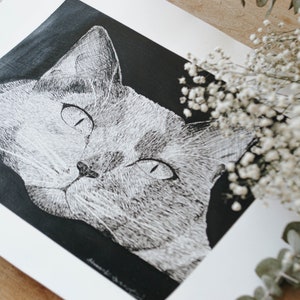 Custom Hand Drawn Pen and Ink Pet Portrait - Etsy