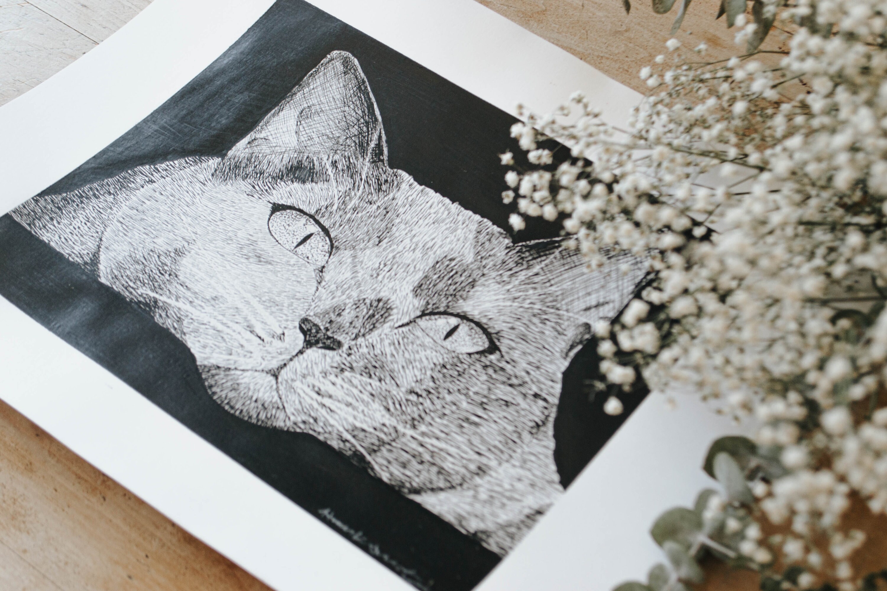 Custom Hand Drawn Pen and Ink Pet Portrait - Etsy