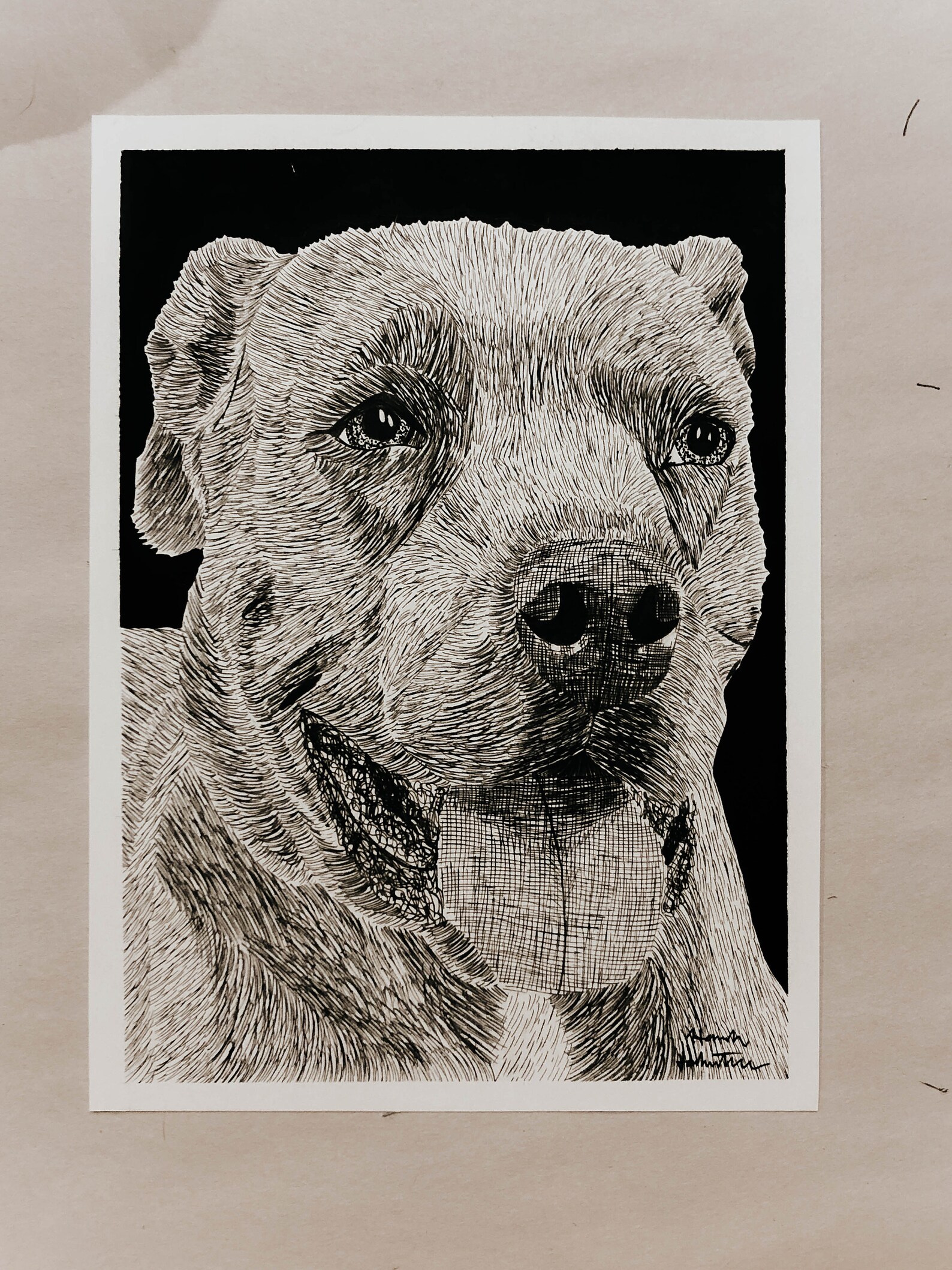 Custom Hand Drawn Pen and Ink Pet Portrait - Etsy