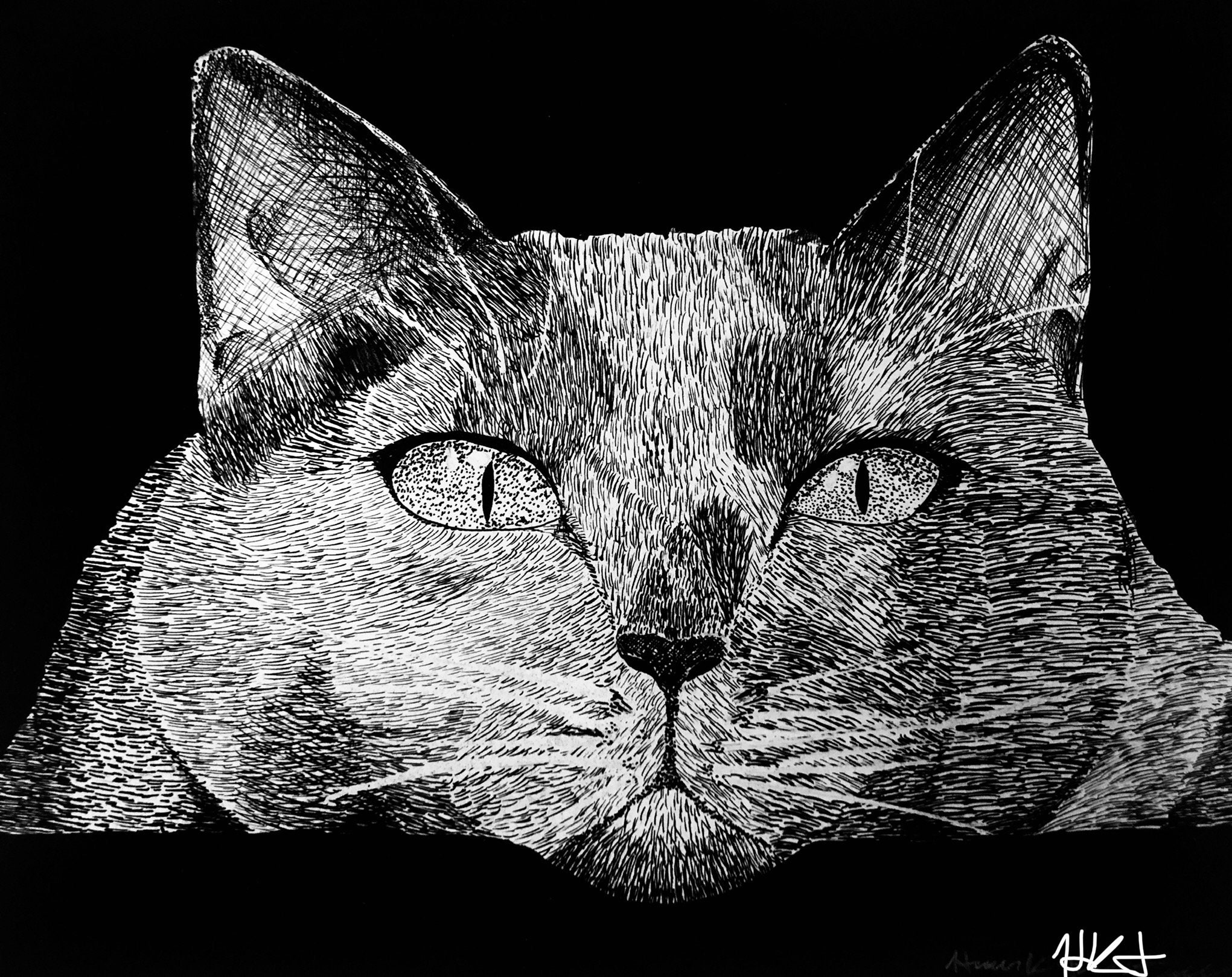 Custom Hand Drawn Pen and Ink Pet Portrait - Etsy