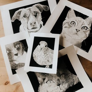 Custom Hand Drawn Pen and Ink Pet Portrait - Etsy