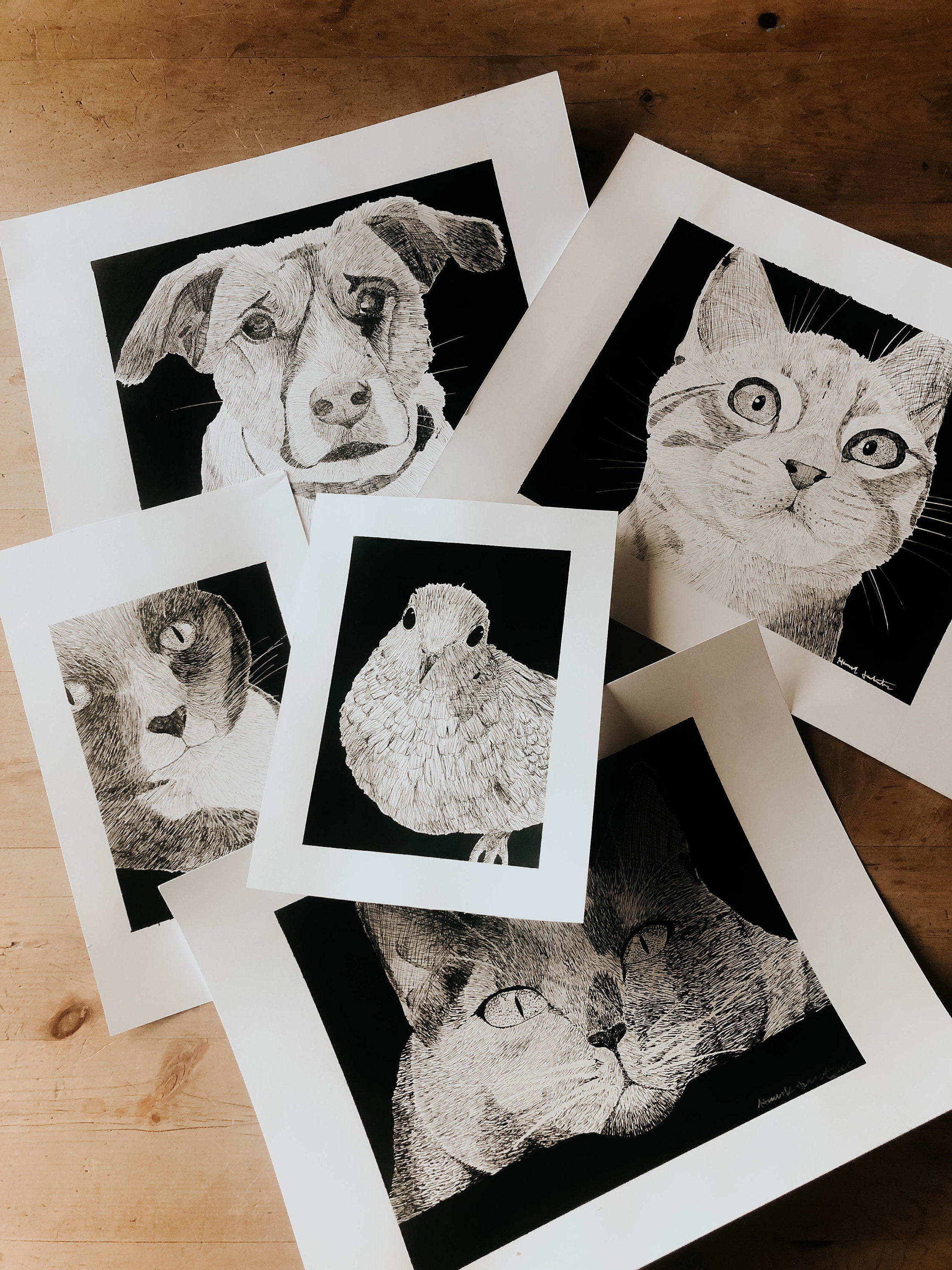 Custom Hand Drawn Pen and Ink Pet Portrait - Etsy
