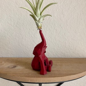 Może przedstawiać: Czerwona geometryczna doniczka w kształcie słonia z małą rośliną powietrzną rosnącą na górze. Doniczka stoi na drewnianej półce z czarną trójkątną podstawą metalową.