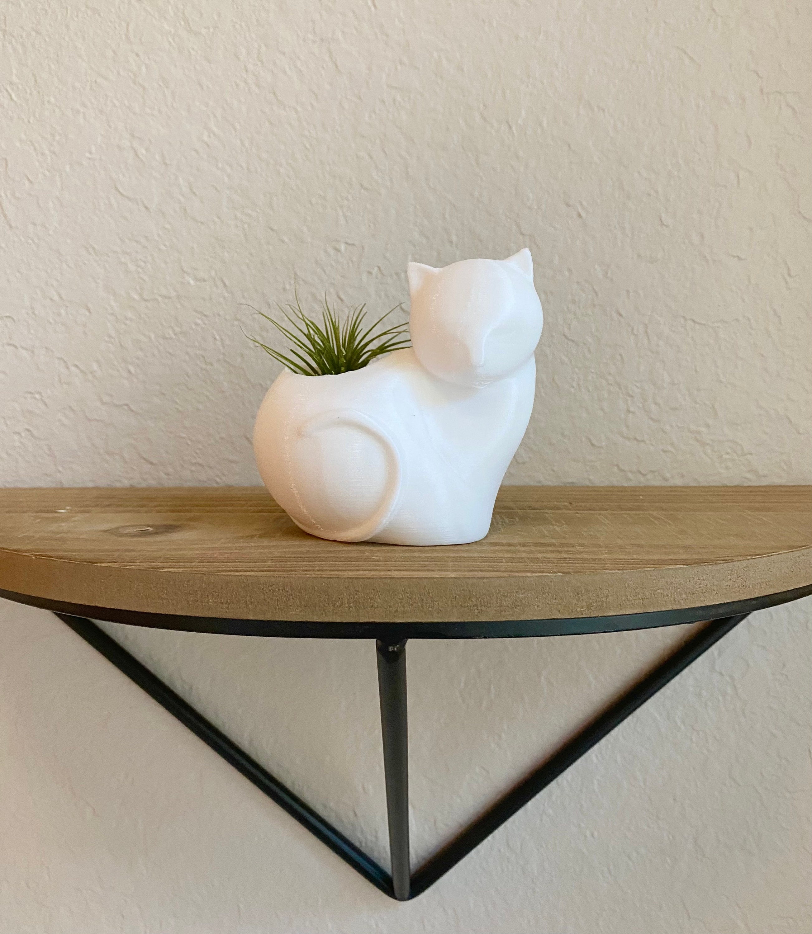 Cat Air Plant Holder With Air Plant 3D Printed Cat Lover Etsy