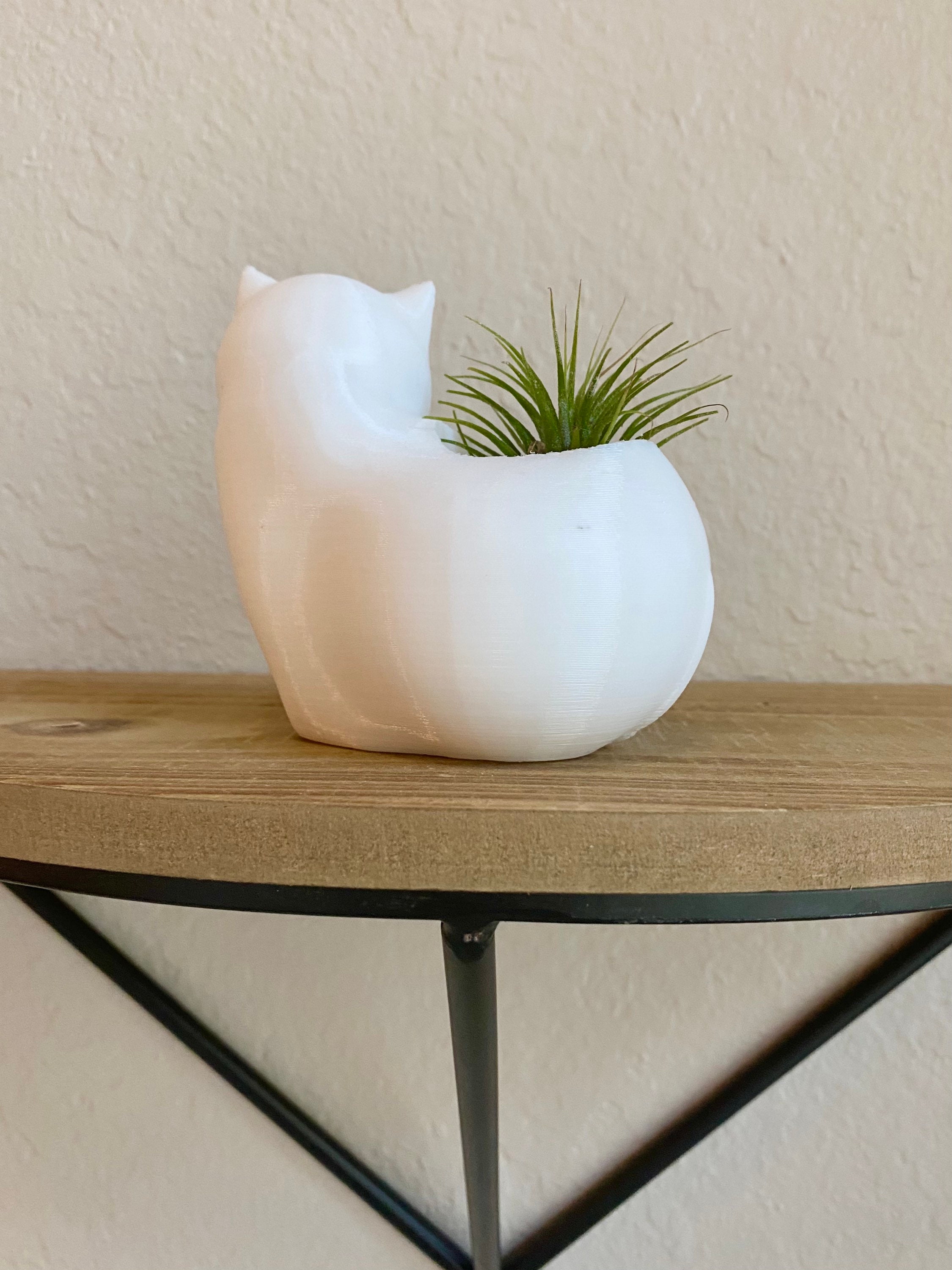 Cat Air Plant Holder With Air Plant 3D Printed Cat Lover Etsy