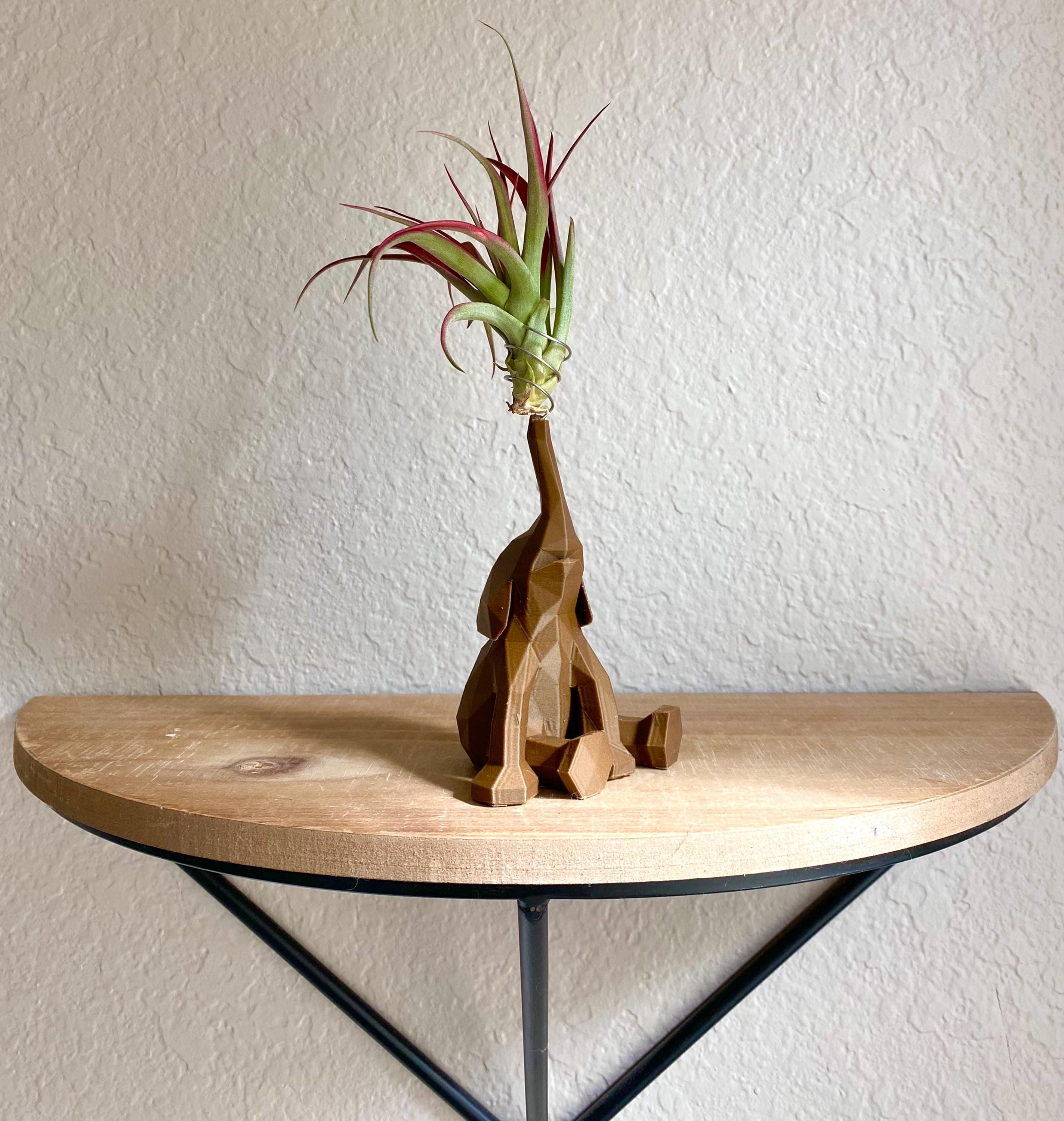 NEW! Wood Elephant Air Plant Holder - 3D Printed Planter with Live Air Plant - Cute Modern Decor & Gift for Plant Lovers