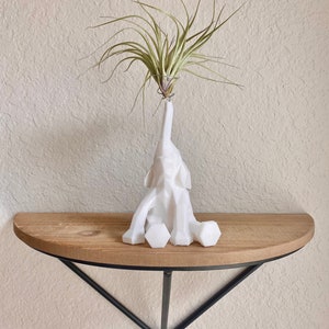 May include: White ceramic elephant planter with a green air plant growing out of the top. The planter is sitting on a wooden shelf with a black metal triangle bracket.