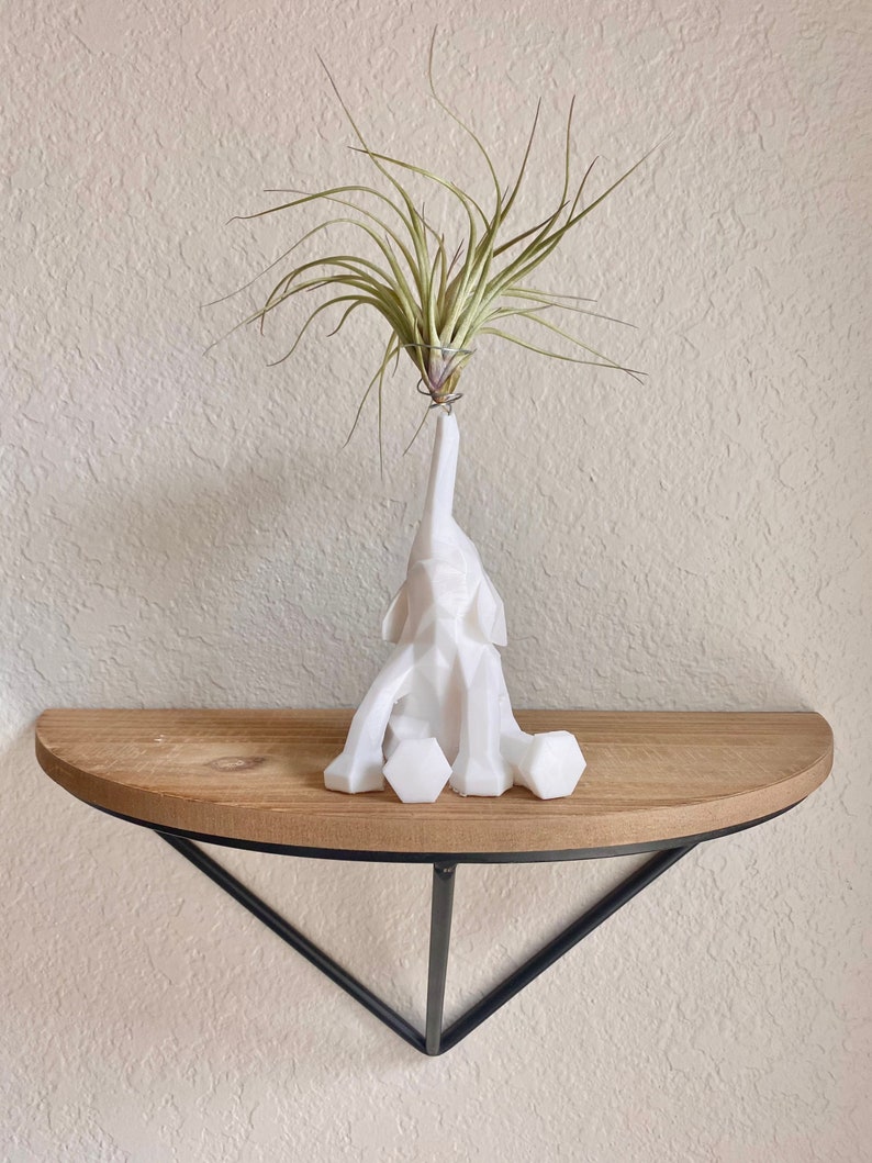 LARGE Elephant Air Plant Holder With Air Plant, 3D Print