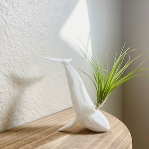 Whale Air Plant Holder With Air Plant, Geometric Whale, 3d Printed