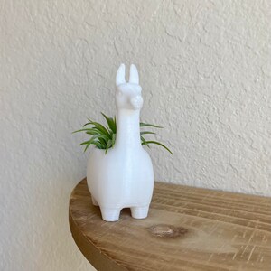 Llama Air Plant Holder With Air Plant, 3D Print