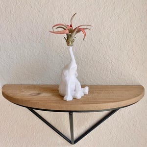 Doniczka w kształcie słonia – doniczka 3D z żywą rośliną powietrzną – uroczy, nowoczesny wystrój i prezent dla miłośników roślin