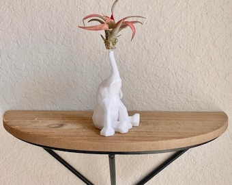 Elephant Air Plant Holder – 3D Printed Planter with Live Air Plant – Cute Modern Decor & Gift for Plant Lovers