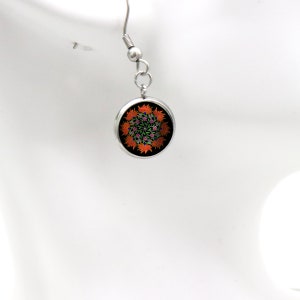 Earrings ear hooks