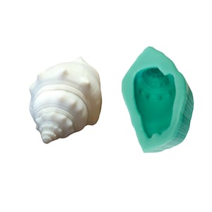 May include: A white seashell and a green silicone mold of the seashell. The mold is open and shows the inside of the seashell.