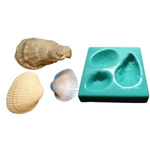 May include: A set of three seashells and a silicone mold for making resin crafts. The seashells are a light beige, a white with pink and purple hues, and a dark gray. The mold is turquoise blue and has three cavities shaped like seashells.