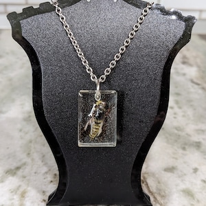 Robber Fly Bug in Resin Handmade Necklace