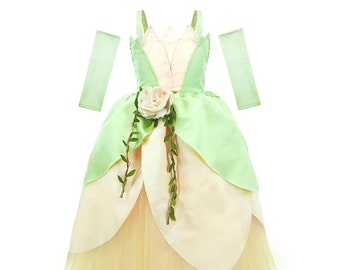princess tiana dress up