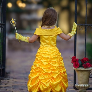 READY TO SHIP Disney Inspired Belle Princess Dress Costume Set ...