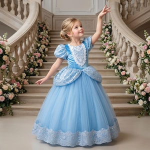 May include: A light blue floor-length gown featuring short puff sleeves, a white lace bodice overlay, and a full tulle skirt. The dress includes a silver sequined peplum waist detail and a wide silver embroidered lace trim along the bottom hem.