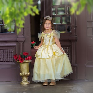 Belle Princess Ball Gown Costume Set