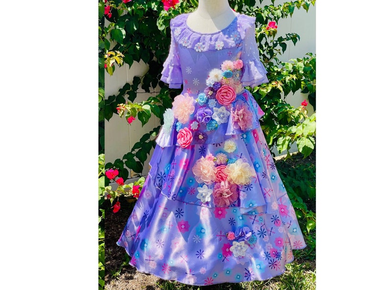 Encanto inspired Isabella Birthday party dress 