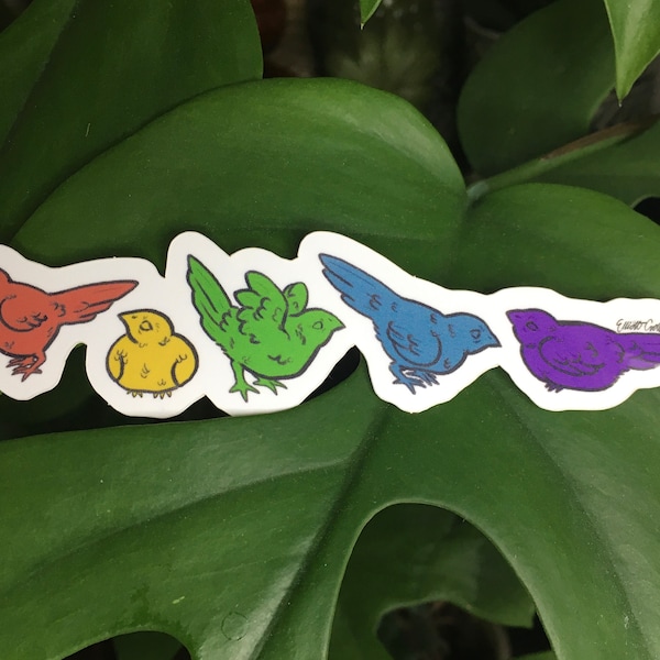 Found Flock Rainbow Bird Vinyl Sticker