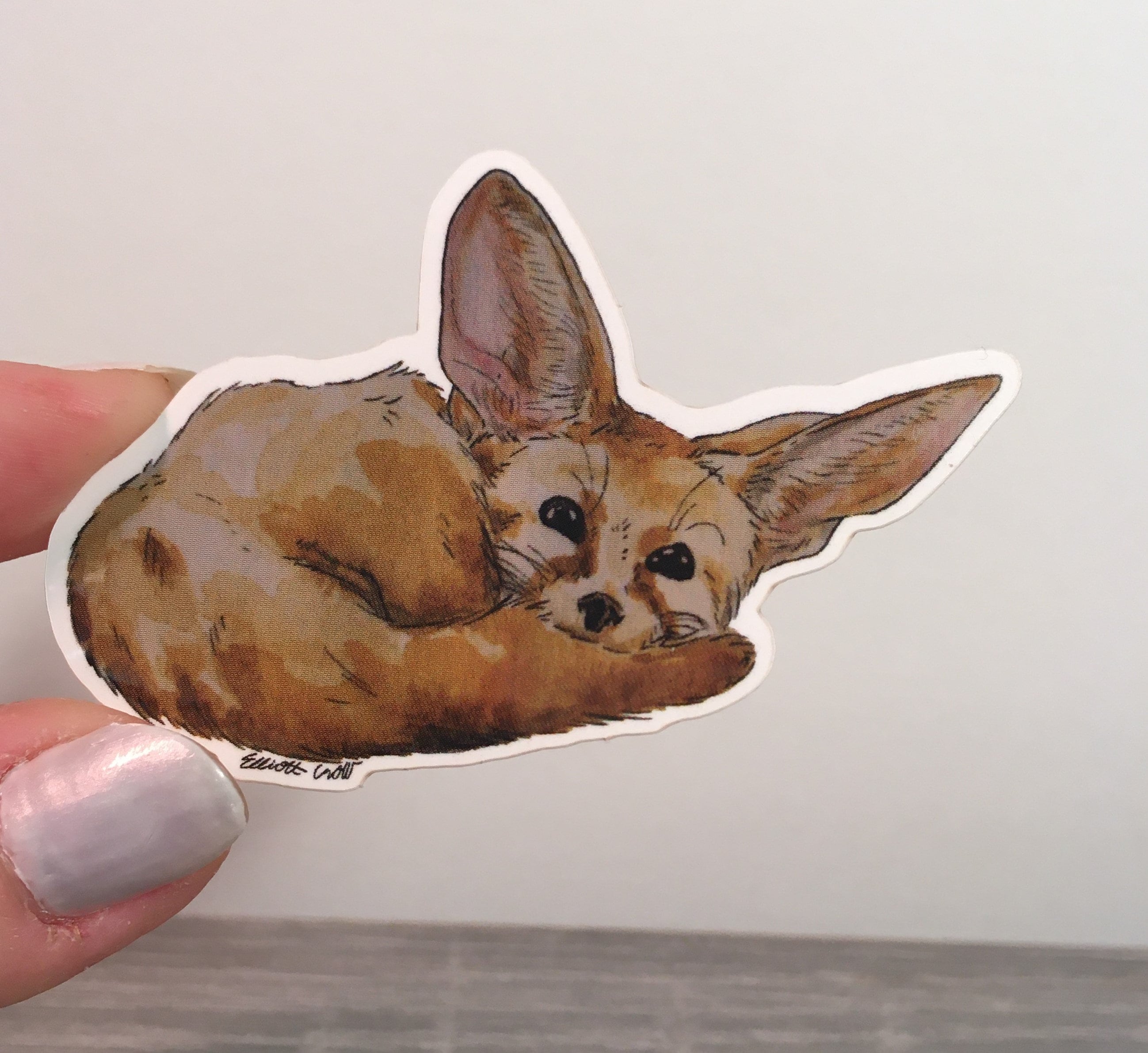 Fennec Fox Vinyl Sticker Etsy