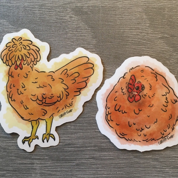 Polish Hen and Buff Borbington Chicken Vinyl Stickers