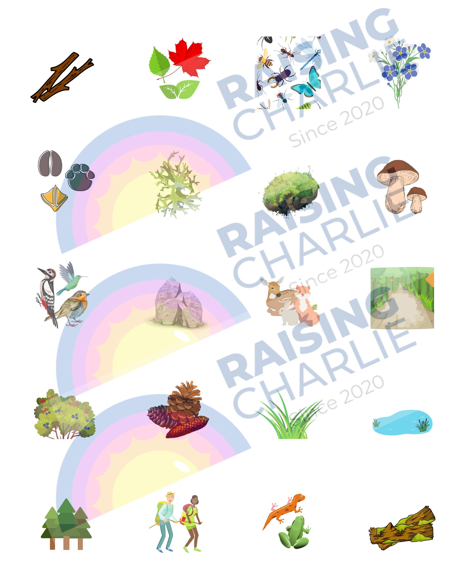 Forest Finds Flashlight Jars Printable Etsy